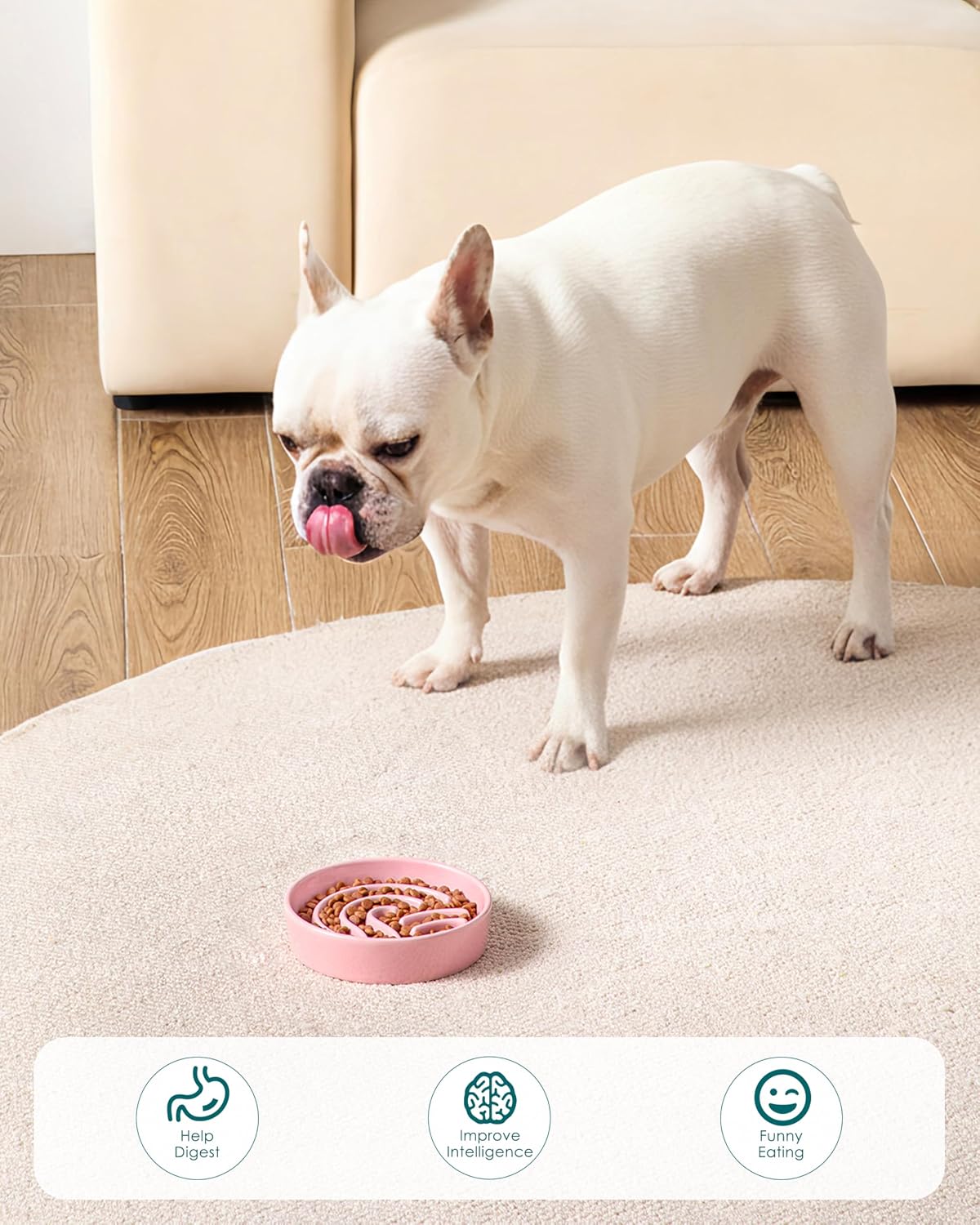 vancasso Slow Feeder Dog Bowl - Pink / 0.6 Cups - image 2