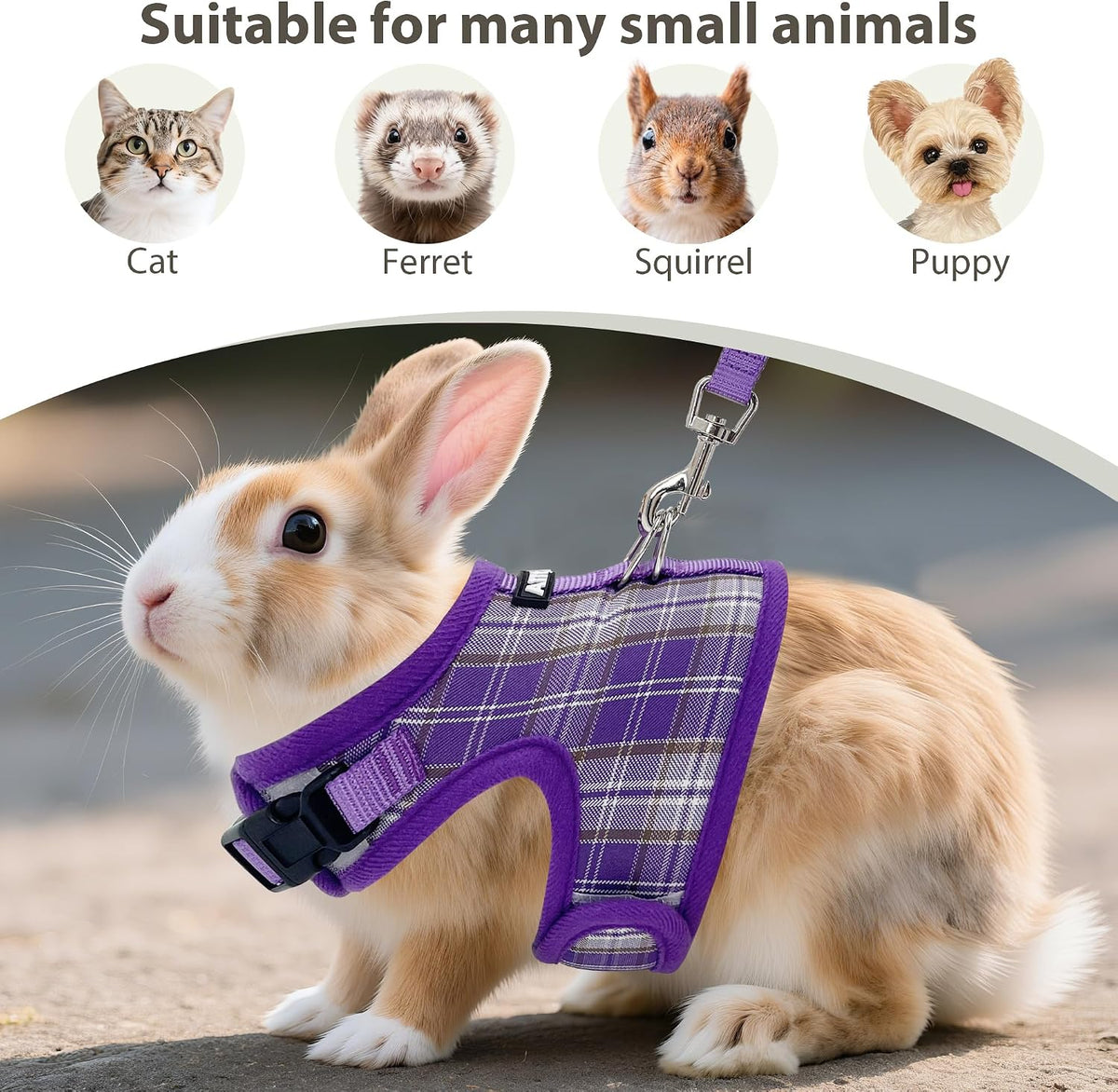 Plaid Breathable Rabbit Harness and Leash Set Escape Proof - Purple / S - image 3