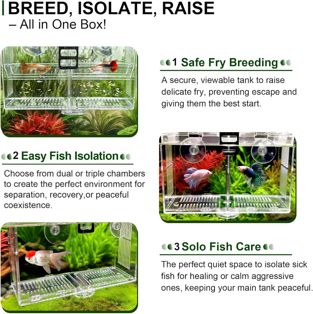 Triple-Chamber Fish Breeder Box for Fish Tank, Guppy Fry Nursery – Essentials for Fish - Triple-Chamber (10.23*3.62*4.33 IN) - image 4