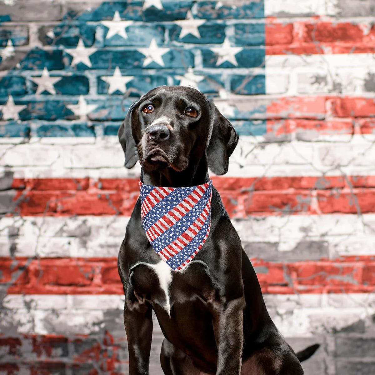 Halloween Dog Bandanas, L - Large / American Flag - image 2
