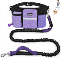 ETACCU Hands Free Dog Leash with Phone Pouch - 1 Dog Purple