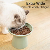 Extra Wide Elevated Ceramic 6.2" Shallow Cat Food Bowl – Essentials for Cats - Sage Green-Shallow - image 3