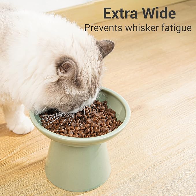 Extra Wide Elevated Ceramic Cat Food Bowl - 6.2" Shallow Dish for Whisker Fatigue Relief, 5" Height for Easy Feeding, Lead & Cadmium Free, Durable Raised Cat Food Bowls, Sage Green
