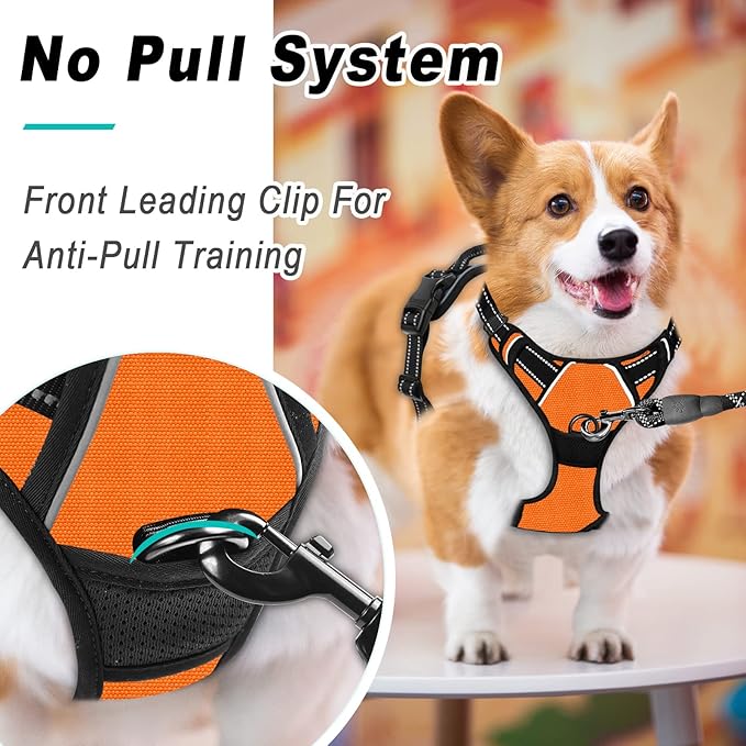 BARKBAY No Pull Dog Harness Large Step in Reflective Dog Harness with Front Clip and Easy Control Handle for Walking Training Running(Orange,S)