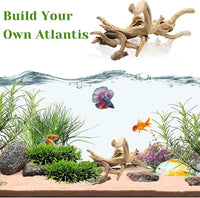 Tfwadmx Natural Driftwood for Aquarium, 11-13 inch Reptile Branches Terrarium Wood Aquarium Trunk Driftwood Tree Fish Tank Log Decoration Pack of 2