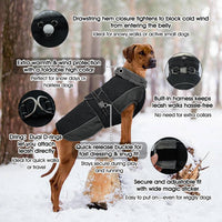 QBLEEV Warm Dog Jacket, Waterproof Dog Winter Coat with Harness – Essentials for Dogs - Black / Large - image 2