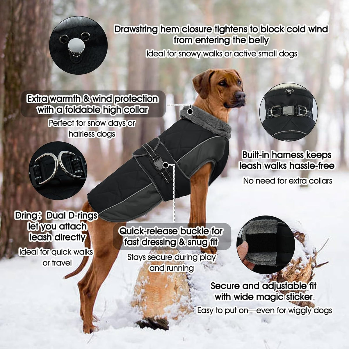 QBLEEV Warm Dog Jacket, Waterproof Dog Winter Coat with Harness – Essentials for Dogs - Black / Large - image 2