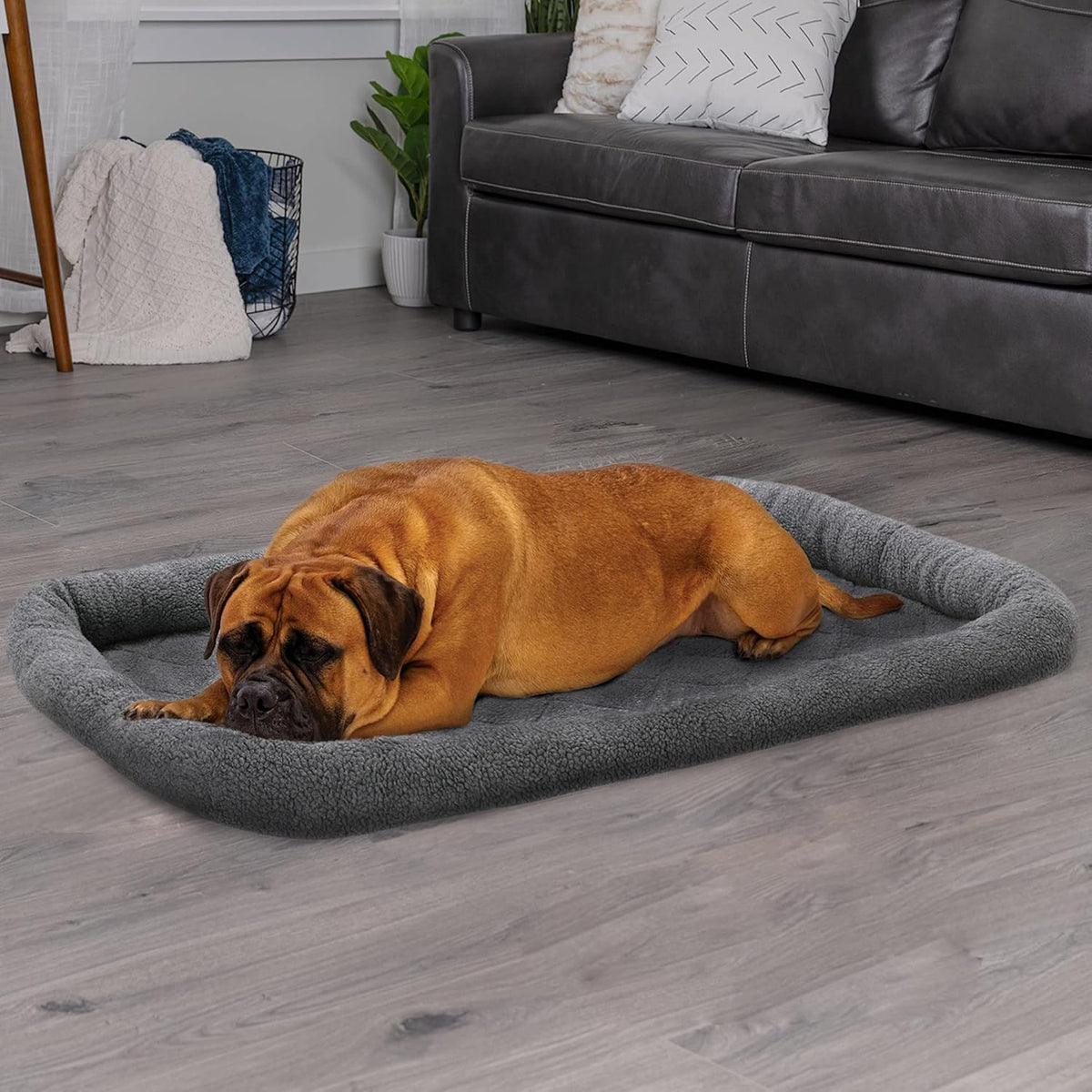 FurHaven Dog Bed for Extra Small Dogs & Cats - Jumbo / Gray - image 3