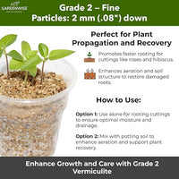 Organic Fine Vermiculite for Indoor Gardening Plants and Mushrooms – Enhances Soil Aeration, Seed Germination, Rooting Cuttings – Small Packages and Bulk (Vermiculite Grade 2 – Fine, 15 quarts)