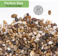 2.5 lbs Coarse Sand for Plants, Desert Silica Sand for Cactus - 5.0 Pounds / Colored - image 2