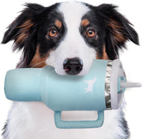 PUPROAR Pup Cup Dog Toy, Cute Birthday Gift for Girl Dogs - Mint Green - image 2