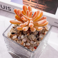 White Agate Crushed Stones Crystal Chips Bulk 3 Lb, Natural Tumbled Crushed Stones Decorative Pebbles Bulk for Vases Filler, Aquarium Gravel Rocks, Succulent Plants Decor