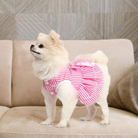Dog Dress, Cute Pet Princess Dresses with Bright Color Design - Rose PinkBlue / X-Small - image 3