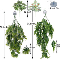 Reptile Plants for Bearded Dragon Tank Accessories - Group Abn - image 2