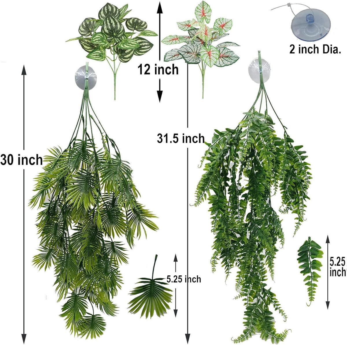 Reptile Plants for Bearded Dragon Tank Accessories - Group Abn - image 2