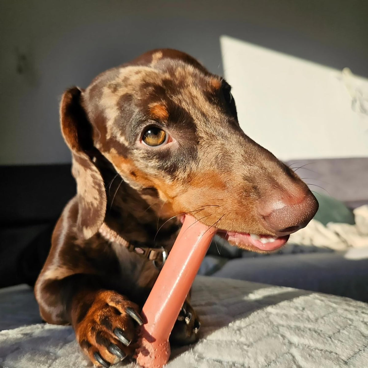 Nylabone Power Chew Original Bone Dog Chew Toys - Bacon / Medium - image 2