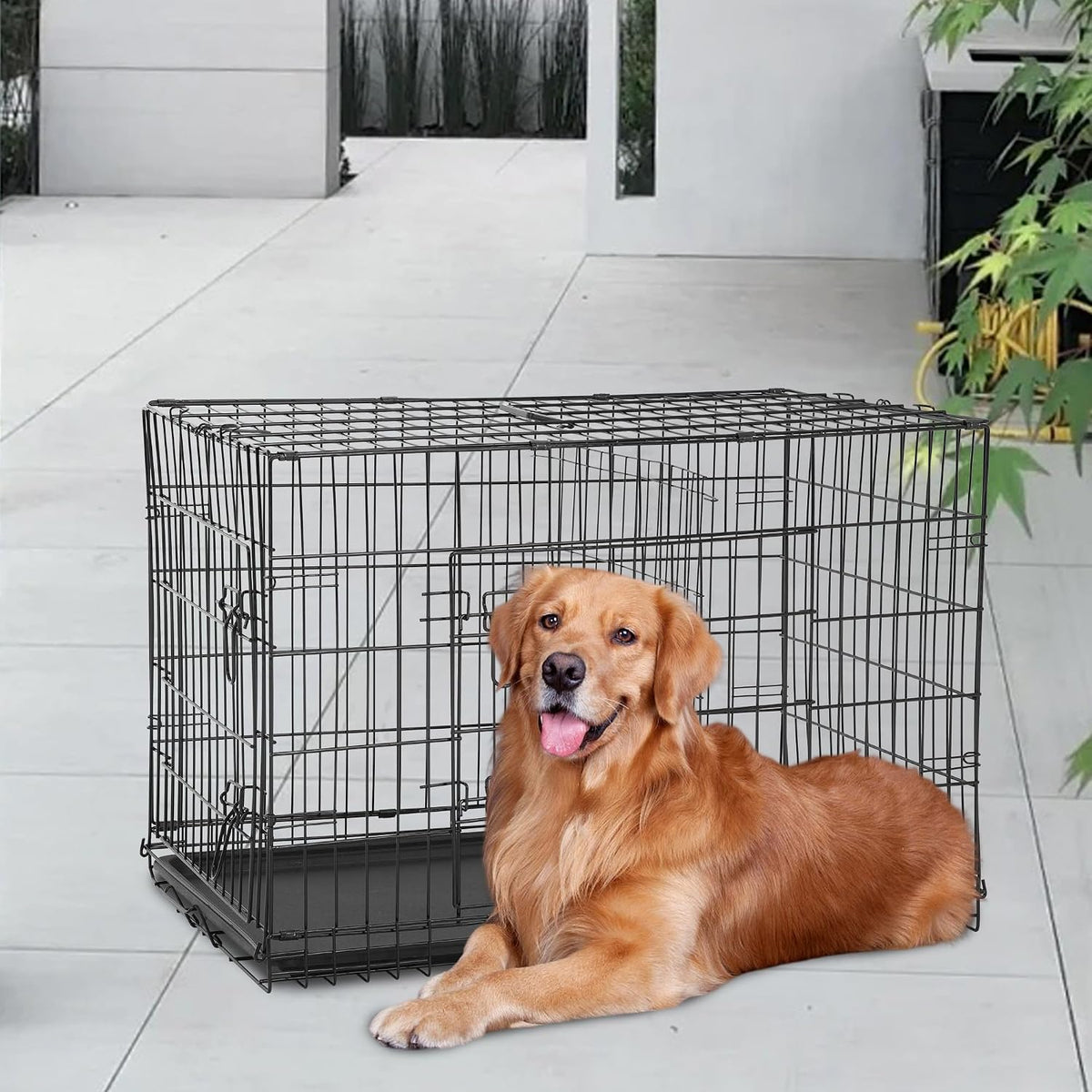 FDW, 48" Foldable Metal Dog Crate, Cage for XL Dogs - Black / 48 Inch Double Door - image 2
