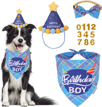Dog Birthday Hat Bandana Set, Blue Plaid Boy Dog Bandana - Large / Sky Blue Boy