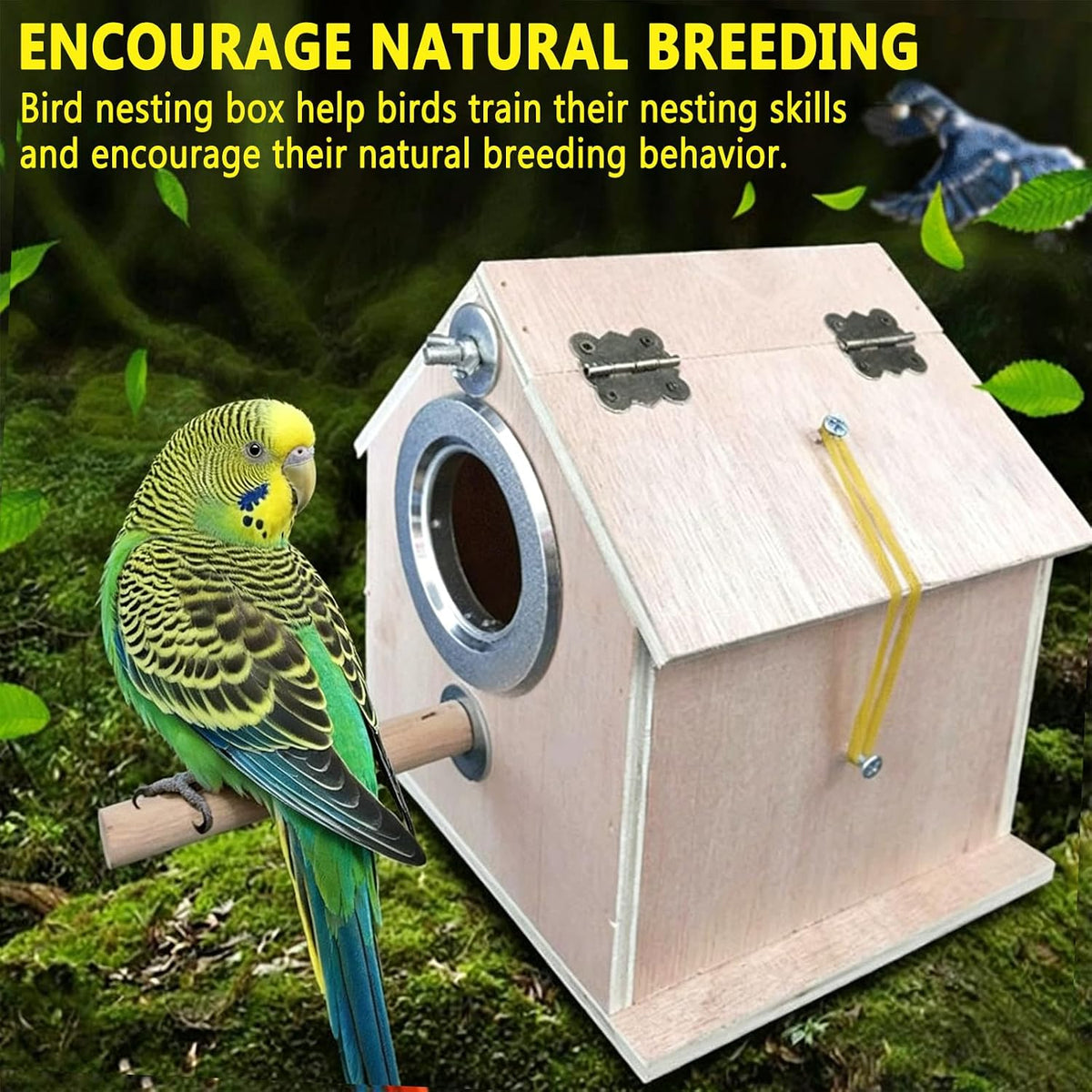 Parakeet Nesting Box, Bird Nest House - L- 7.08 x 5.90 x 7.87 in - image 2