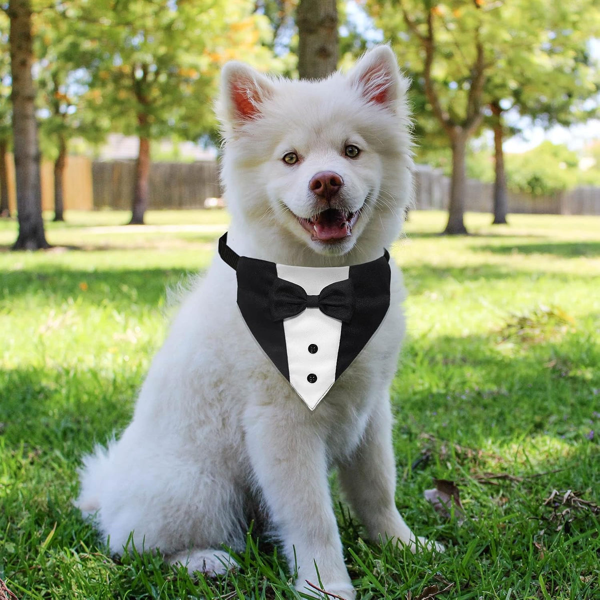 GOYOSWA Dog Tuxedo Suit Wedding Bandana Collar with Bow Tie - Small: Neck 12.5"-21" - image 4