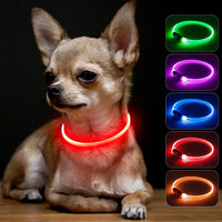 Light Up Dog Collar – Essentials for Dogs - XS-Red (40cm)