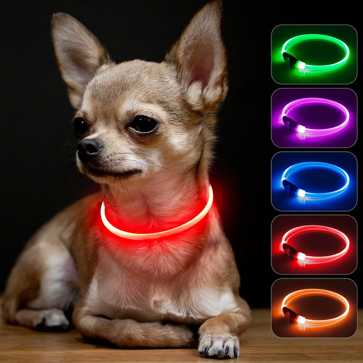 Light Up Dog Collar – Essentials for Dogs - XS-Red (40cm)