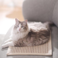 FUKUMARU Cat Scratcher Mat - Cream-Thicken-1 Pack-23.6 x 15.7 Inch - image 4