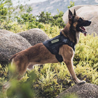 OneTigris Tactical Dog Harness No-Pull Service Vest for Medium Large - Medium / Black - image 4