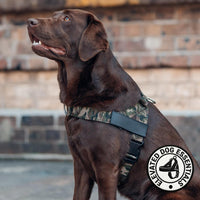 Dog Friendly Co. Dog Harness for Medium Sized Dogs – Essentials for Dogs - Green Camo / Large - image 3