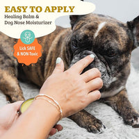 Natural Dog Company Snout Soother Bundle, Includes 2oz Tin + 0.15oz Stick, Dog Nose Balm for Chapped, Crusty and Dry Dog Noses, Organic, All Natural Ingredients, Packaging May Vary