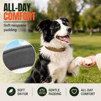 Medium Dog Collar, Neck 12"-20" - Medium (Neck 12''–20'') / Green Stripe - image 4