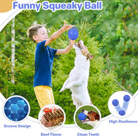 DISSKNIC Indestructible Squeaky Dog Ball, Relieves Anxiety - Small / Blue - image 4