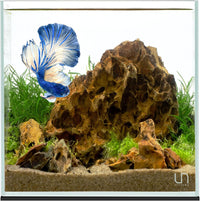 Ultum Nature Systems 25C ultra clear rimless aquarium with low iron glass and 45-degree corners