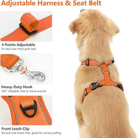 Dog Seat Belt Harness for Car, Dog Car Harness Adjustable Mesh Breathable & Dogs Seatbelt Safety Tether with Elastic Bungee for Small Medium Large Pets(Orange, L)