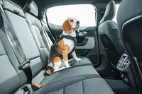 Thule Cappy Dog Harness S - Crash-Tested for Safety - Seatbelt passthrough - Adjustable & Easy to Clean - Padded Breathable mesh Panels - Leash Loop - Step-in Design