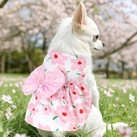 choyaxo Floral Dog Dress Cute Dog Skirt Pet Dress Summer Pet Clothes - Floral / X-Small - image 3