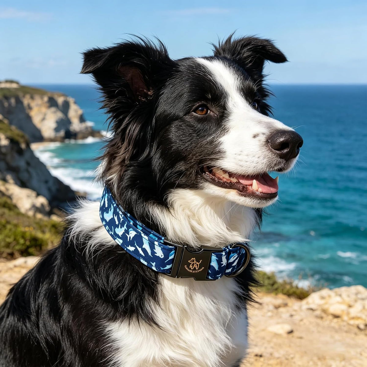 Elegant little tail Fall Dog Collar - Shark / X-Large (Pack of 1) - image 3