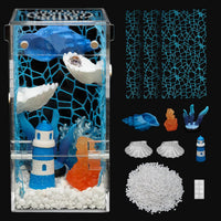 Jumping Spider Enclosure Starter Kit - Blue / Small