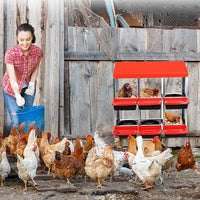 Chicken Nesting Box, 6 Hole 2 Layer Hen Nest Box, Roll Away Eggs Laying Box,Cleanable Pull Out Hen Roosting Box