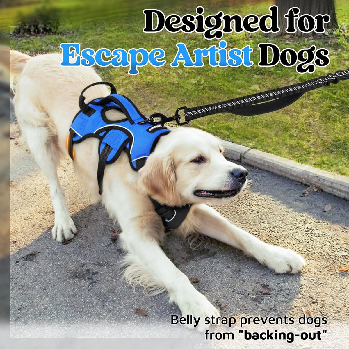 rabbitgoo Escape Proof Dog Harness for Large - Blue / Large - image 2