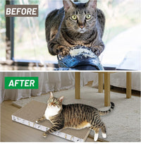 PatiencET Cat Scratch Pad with Box - Flat - 3 Pack - image 4