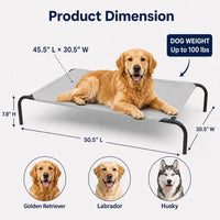 Raised Pet Cot for Small Pets – Essentials for Dogs - Large / Grey - image 2