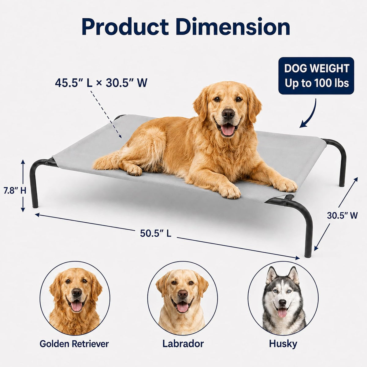 Raised Pet Cot for Small Pets – Essentials for Dogs - Large / Grey - image 2