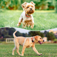 Reflective Dog Collar, Adjustable Nylon for Medium Dogs - Orange / XS:width 5/8"neck 8-10.5" - image 2