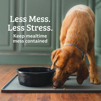 Leash Boss Rectangular Silicone Pet Feeding Mat, Raised Edge - 30"L x 22"W / Beige - image 2