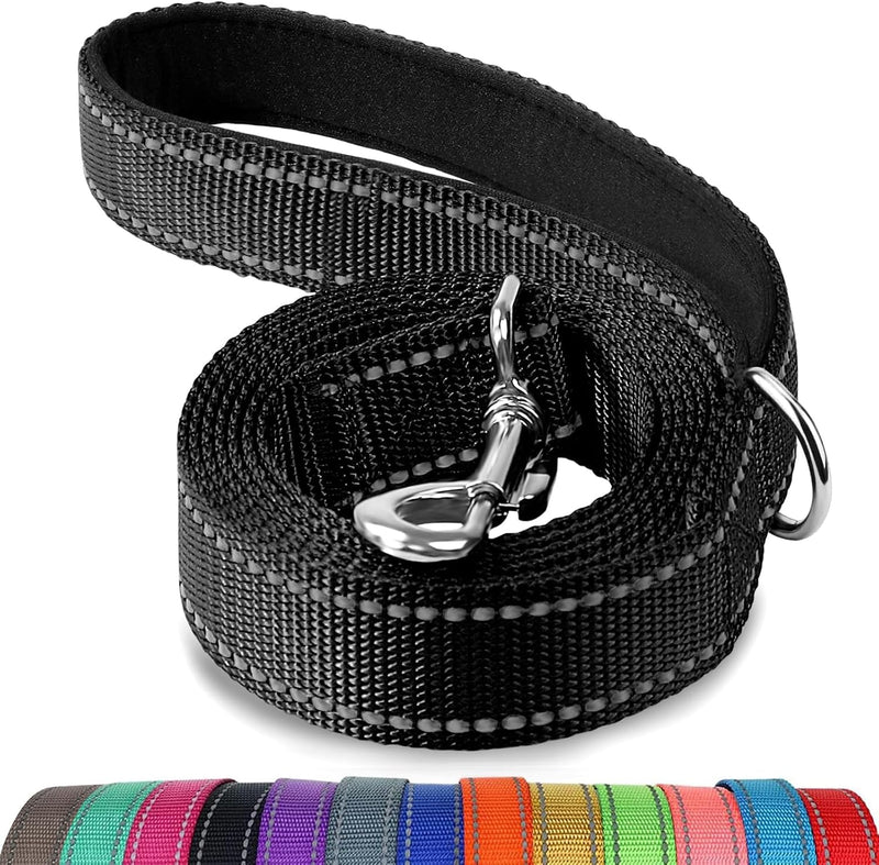 Joytale Reflective Dog Leash for Medium & Large Dogs - 6 ft Standard / Black