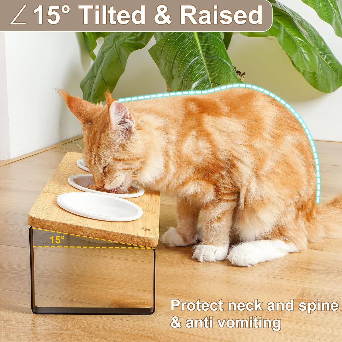 Sunhoo Raised Cat Food Water Bowl Elevated Tilted Kitty Dishes Set - Wood Color - image 3