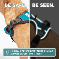 Embark Adventure Dog Harness, Easy On and Off with Front and Back Leash Attachment Points & Control Handle - No Pull Training, Size Adjustable and No Choke (Small - Teal Blue)