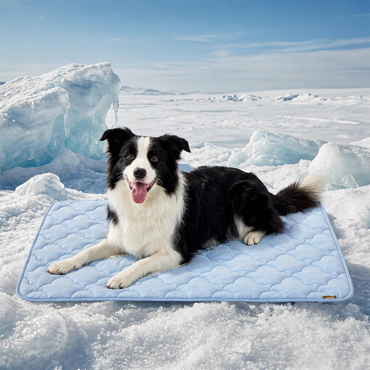 ZOMISIA Cooling Dog Mat Extra Large - 41x27"(XL-Crate) / Blue
