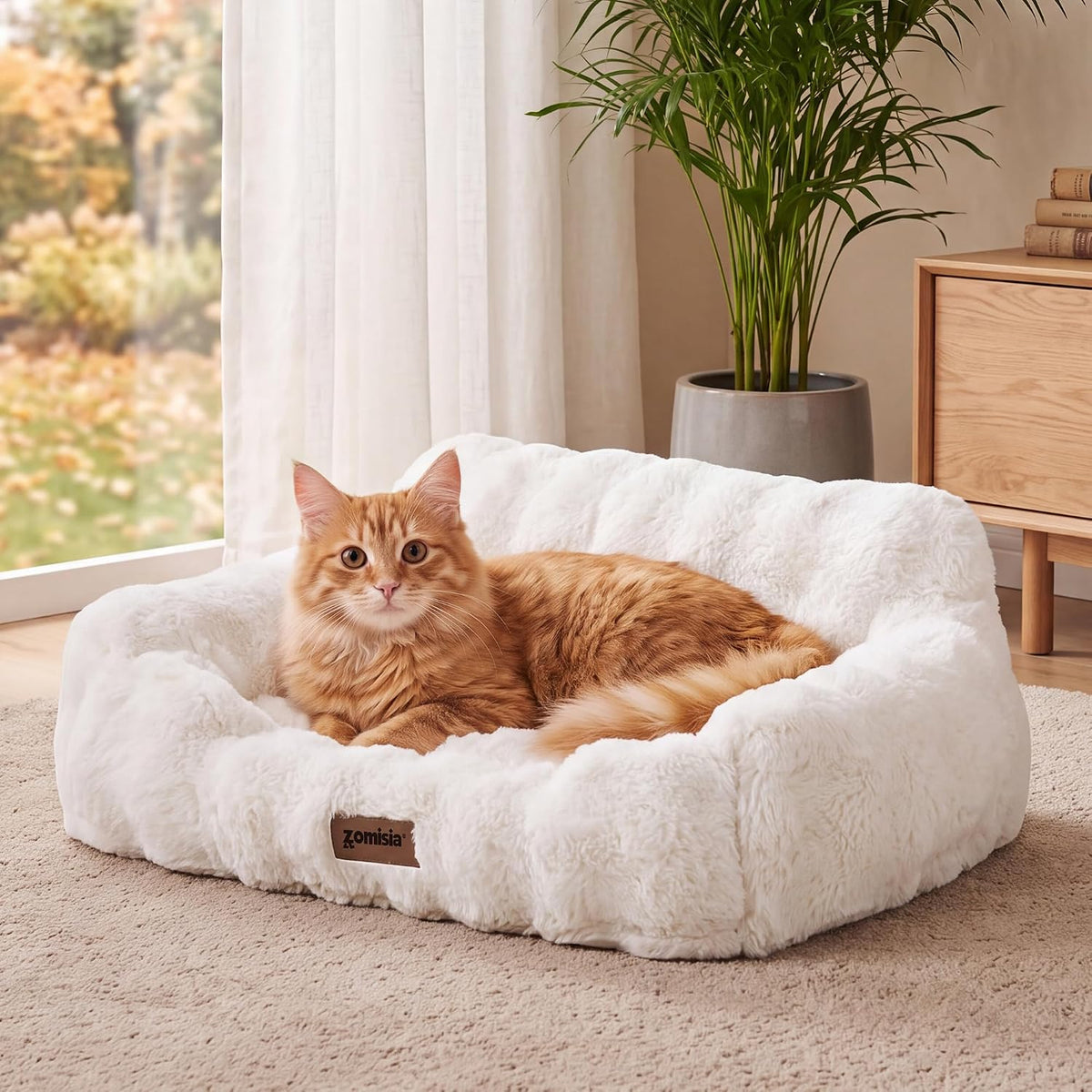 Orthopedic Cat Couch Bed for Indoor Cats - 24.0"L x 18.0"W x 10"Th / Ivory White